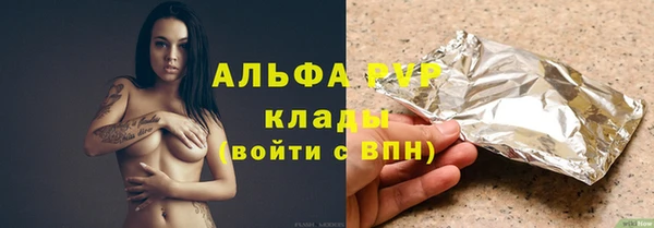 индика Алексин