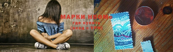 индика Алексин