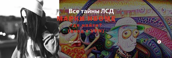 индика Алексин