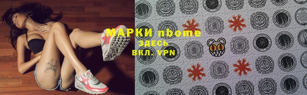 сатива Алексеевка