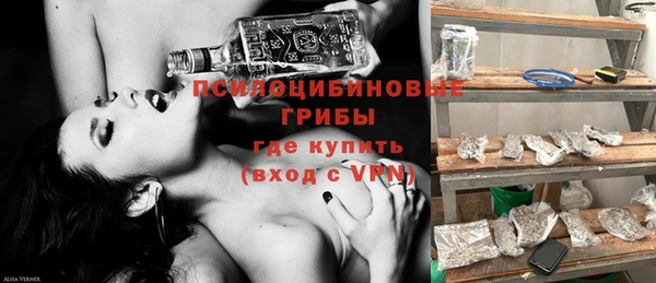 сатива Алексеевка