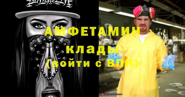 шишки Магас