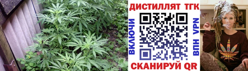 ТГК гашишное масло  Бердск 
